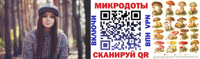 блэк спрут зеркало  где найти наркотики  Анадырь  Псилоцибиновые грибы мухоморы 